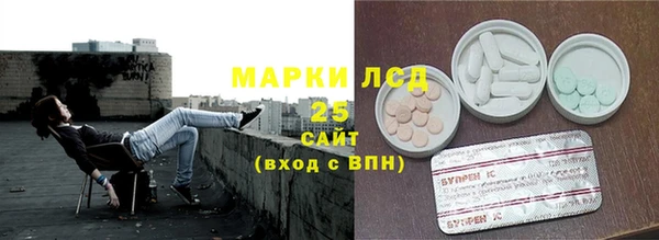 стаф Инта
