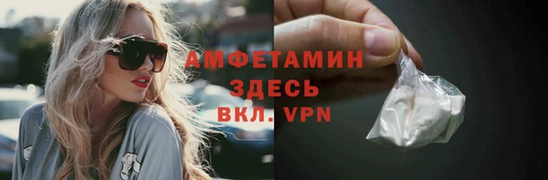 стаф Инта