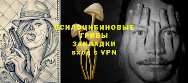 a pvp Каменногорск