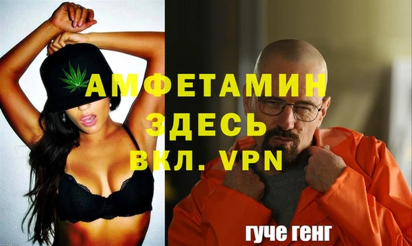стаф Инта