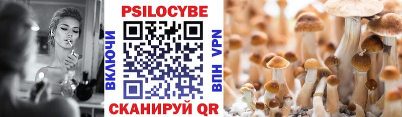 купить  цена  Котельнич  Псилоцибиновые грибы Cubensis 